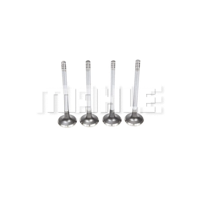 Exhaust Valve (VE0440596)