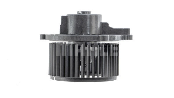 Interior Blower