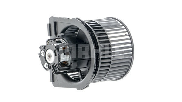 Interior Blower
