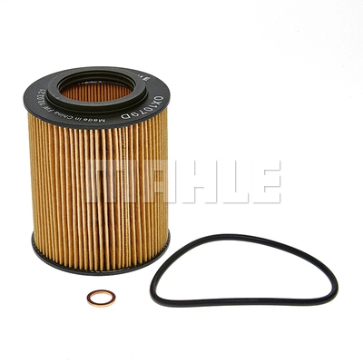 Oil Filter (OX 1079D)