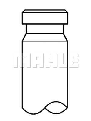 Exhaust Valve (001 VA 31675 000)