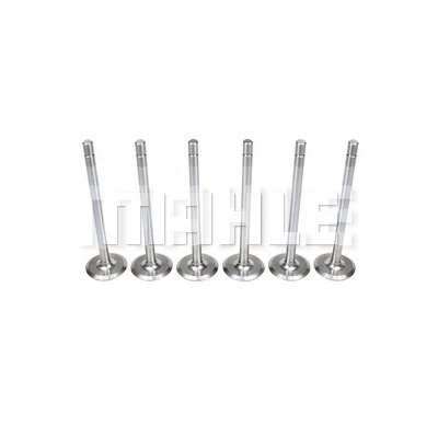 Intake Valve (VA0710063)