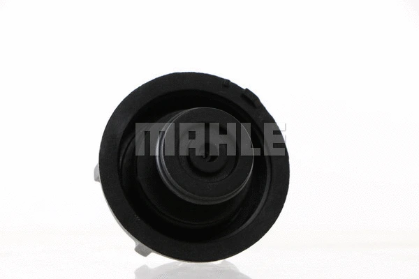 Cap, coolant tank
