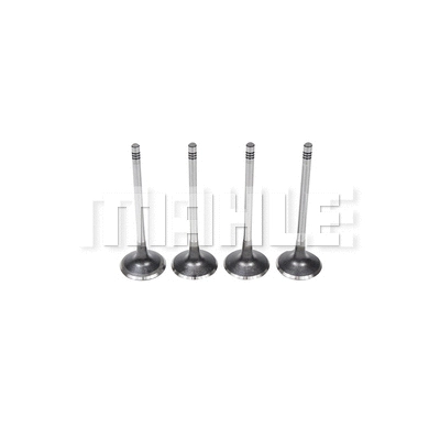 Intake Valve (VA0701459)