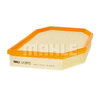 Air Filter (LX 3973)