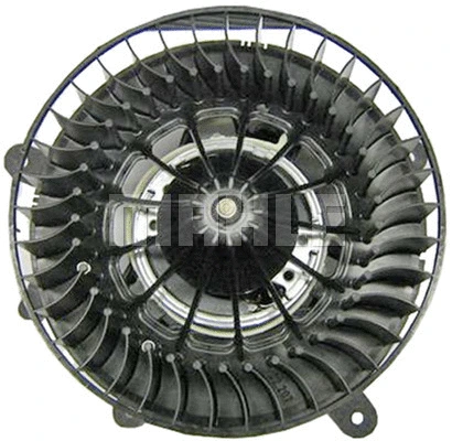 Interior Blower