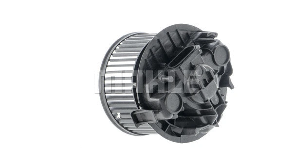 Interior Blower