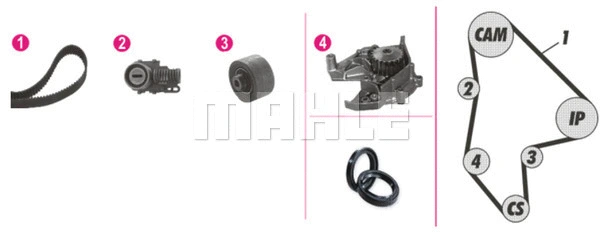 Water Pump & Timing Belt Kit (CPK 51 000P)