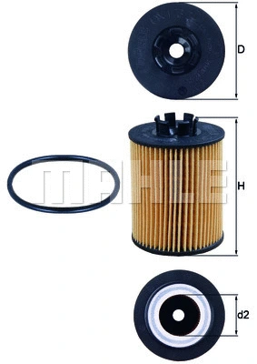 Oil Filter (OX 173/2D)