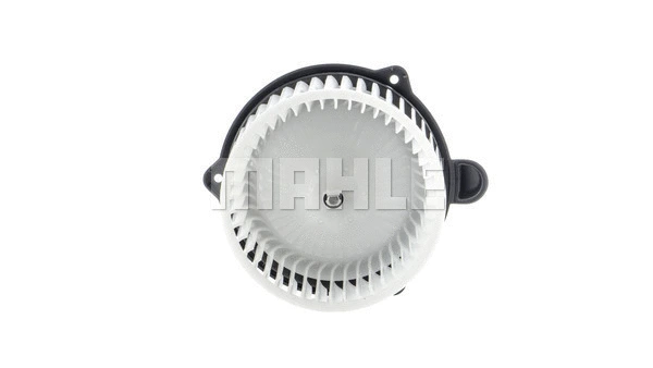 Interior Blower