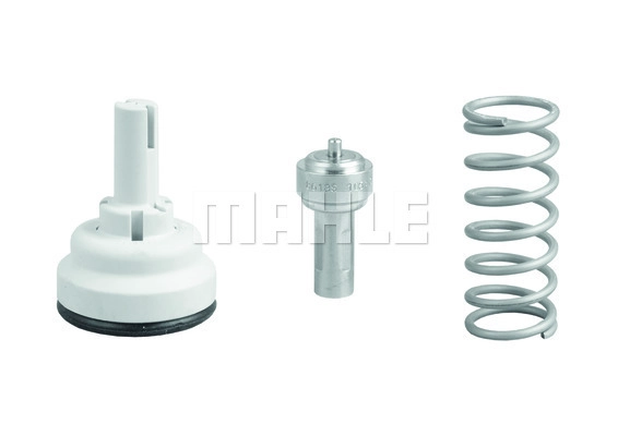 Thermostat, coolant