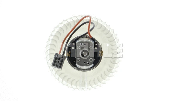 Interior Blower
