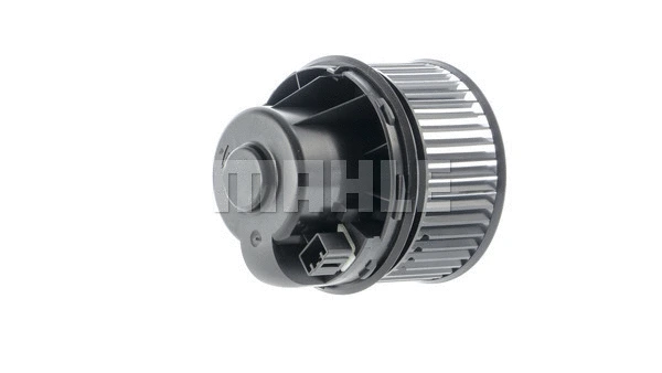 Interior Blower