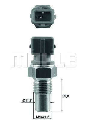 Sensor, coolant temperature (TSE 20)
