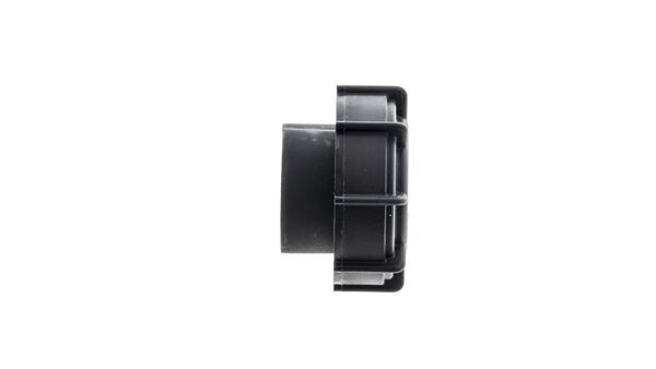 Cap, coolant tank