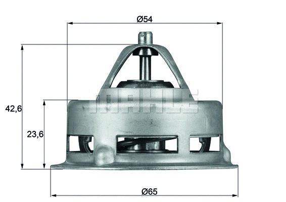 Thermostat, coolant (TX 2 79)