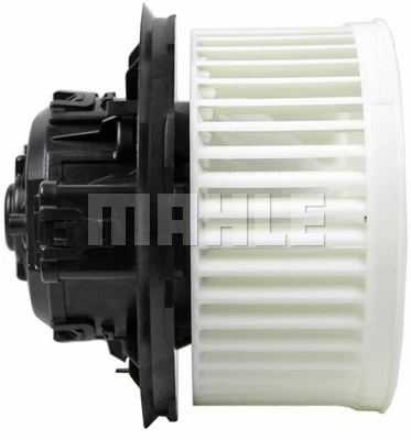 Interior Blower