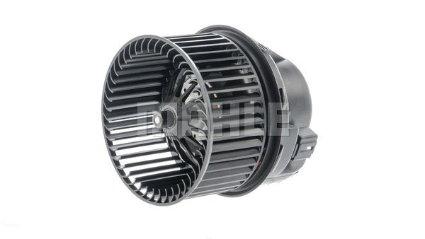 Interior Blower