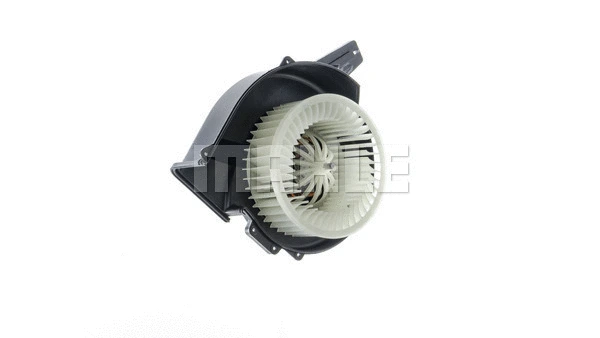 Interior Blower