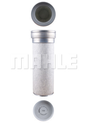 Secondary Air Filter