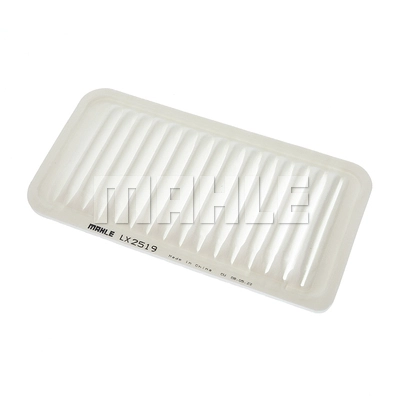 Air Filter (LX 2519)