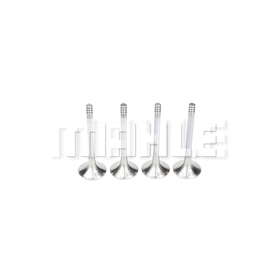 Exhaust Valve (VE0700190)