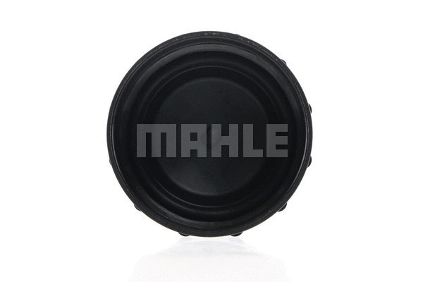 Cap, coolant tank (CRB 94 000S)