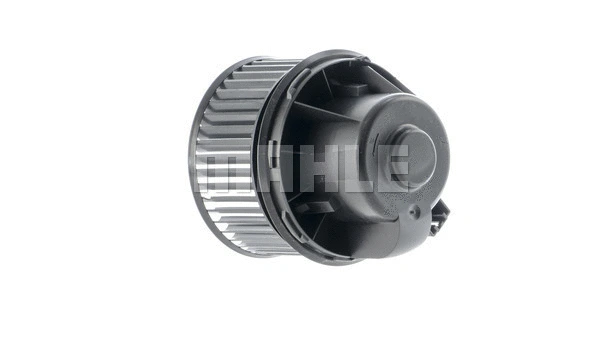 Interior Blower