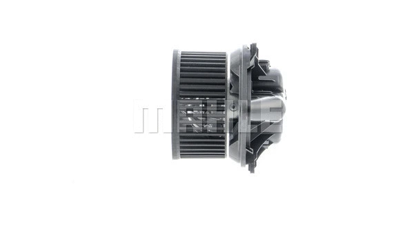Interior Blower
