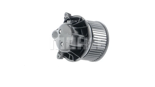 Interior Blower