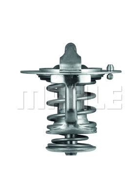 Thermostat, coolant (TX 83 76D)