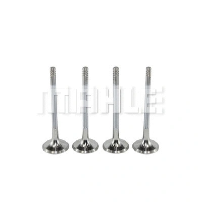 Exhaust Valve (VE0140071)
