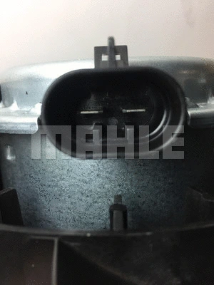 Fan, engine cooling