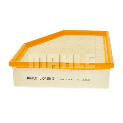 Air Filter (LX 4863)