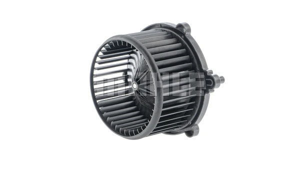 Interior Blower