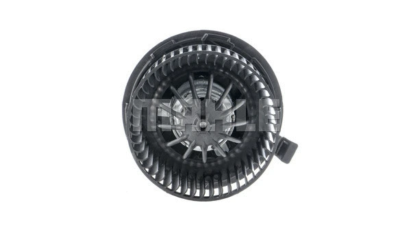 Interior Blower