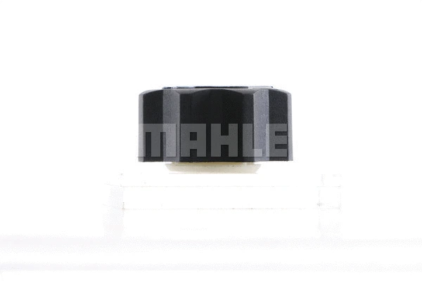 Cap, coolant tank