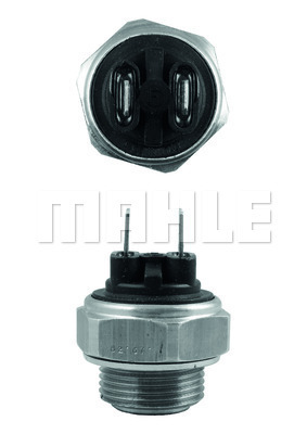 Temperature Switch, radiator fan
