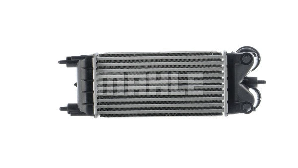 Charge Air Cooler (CI 525 000P)