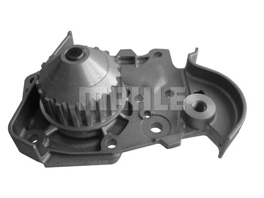 Water Pump, engine cooling (CP 52 000S)