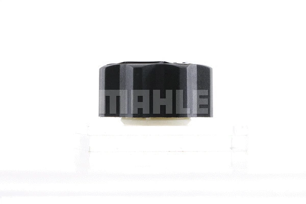 Cap, coolant tank