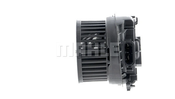 Interior Blower