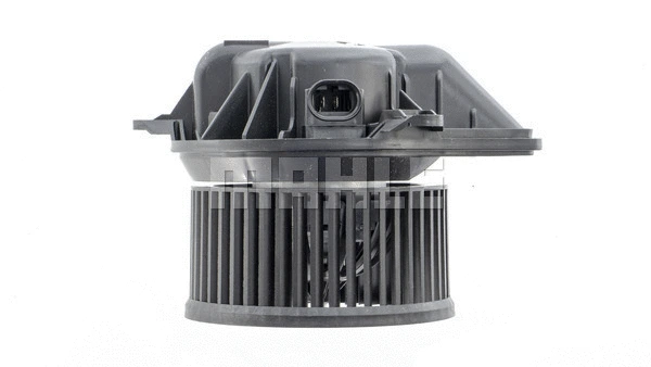 Interior Blower