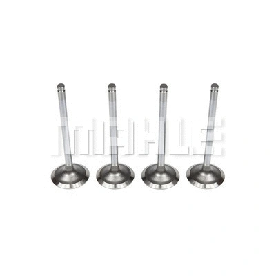 Intake Valve (VA0250513)