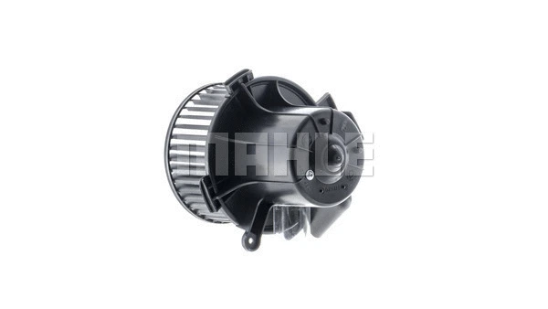 Interior Blower