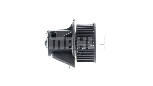 Interior Blower