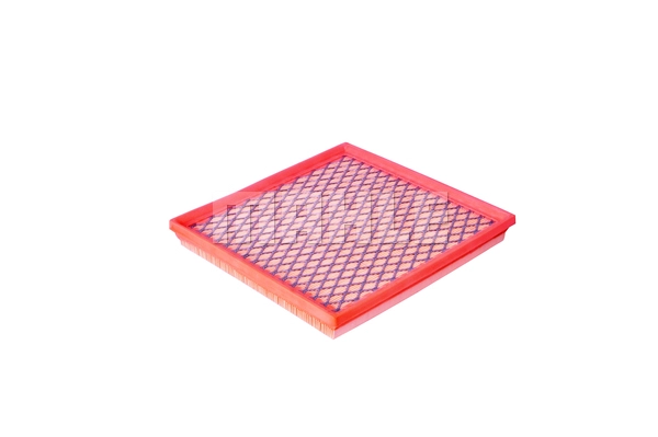 Air Filter (LX 3842)