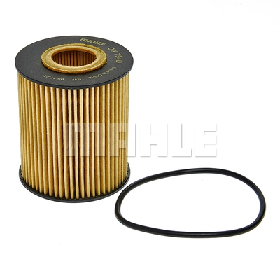 Oil Filter (OX 794D)