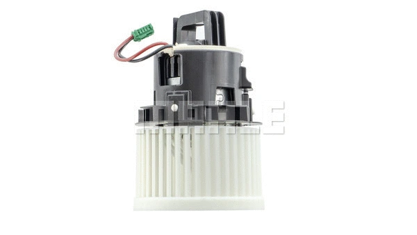 Interior Blower