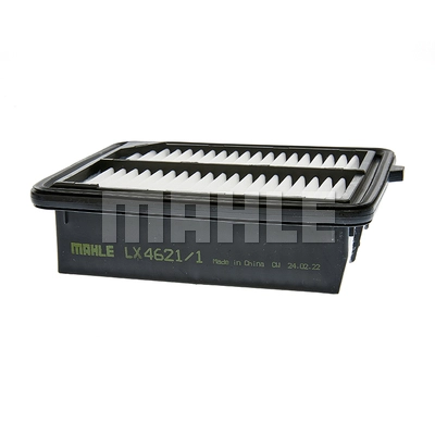 Air Filter (LX 4621/1)